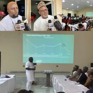 Gridart 20251124 201842927